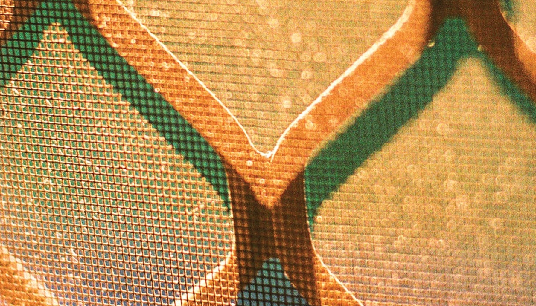 Zoomed in portion of the album cover artwork for "Smiles of Earth" by Cousin Tony's Brand New Firebird